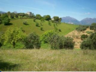 Terreno agricolo all'asta a roggiano gravina contrada serre corso