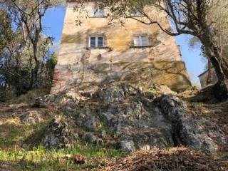 Terreno agricolo in vendita a massa foce