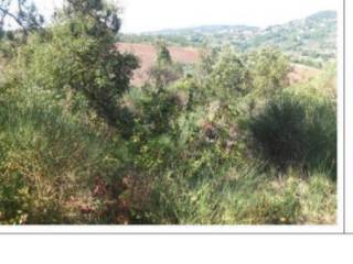 Terreno agricolo all'asta a perugia via san sebastiano