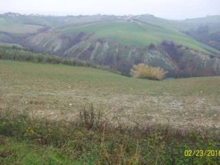 Terreno agricolo all'asta a notaresco sp24b