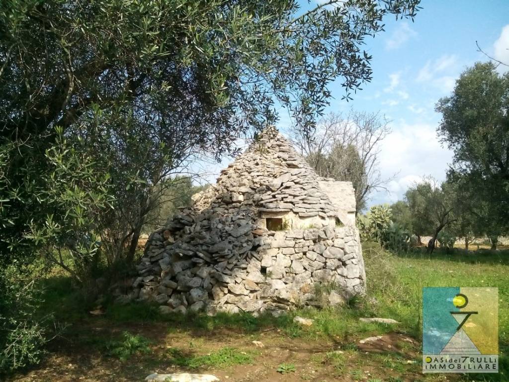 immagine annuncio 2 di 8