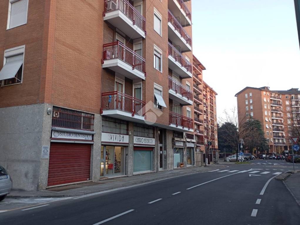 immagine annuncio 3 di 14