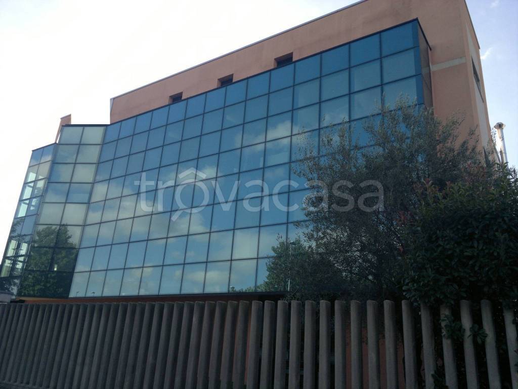 immagine annuncio 3 di 14
