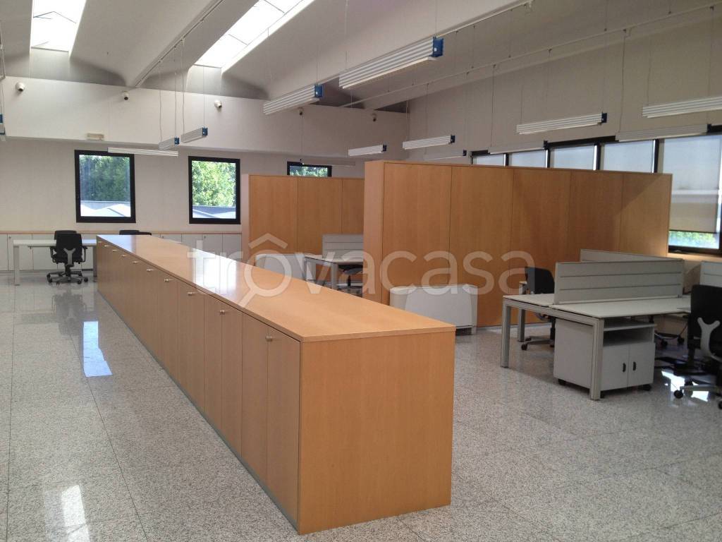 immagine annuncio 12 di 14