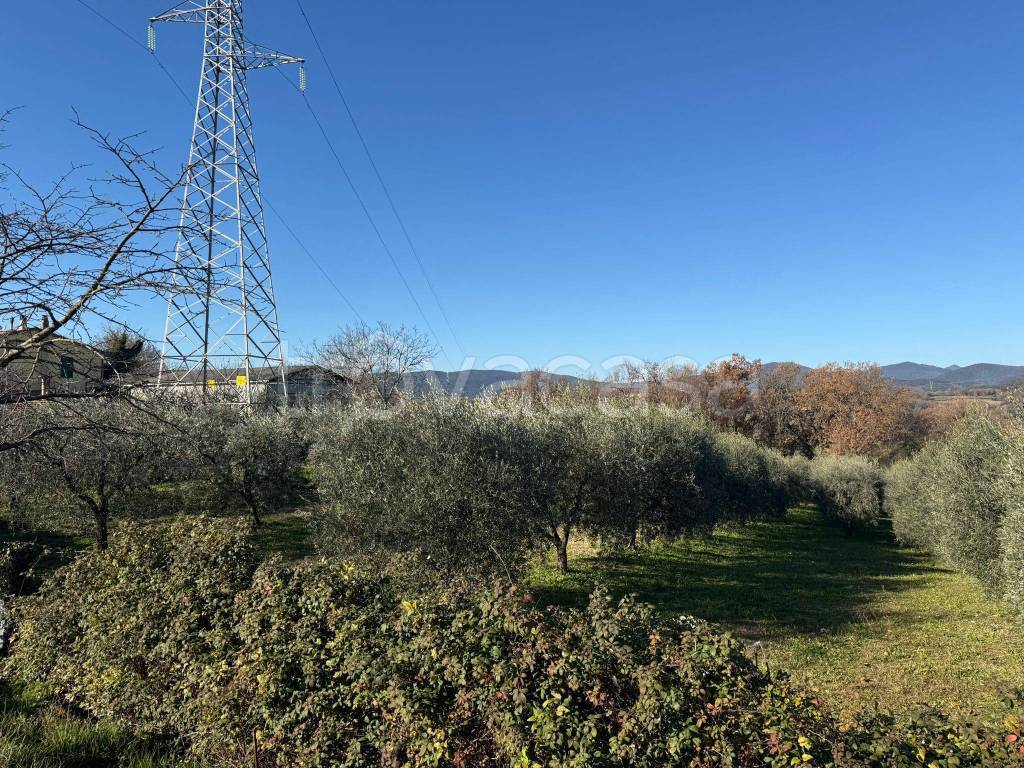 immagine annuncio 7 di 11