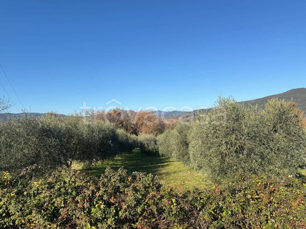 immagine annuncio 4 di 11