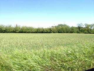 Terreno residenziale in vendita a cambiago a4