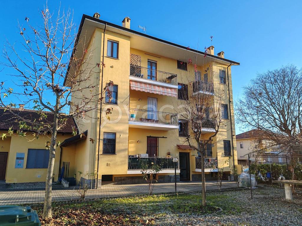 immagine annuncio 3 di 15