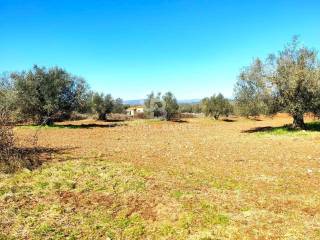 Terreno agricolo in vendita a ischia di castro località vepre, snc