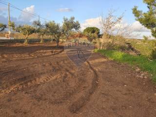 Terreno agricolo in vendita a caltagirone san nicolò le canne, snc