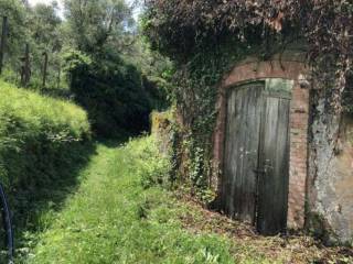 Terreno agricolo all'asta a lavagna via madonna della neve, snc