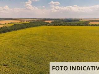 Terreno agricolo all'asta a formigine località formigine