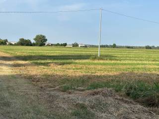 Terreno agricolo in vendita a malalbergo via cavedagnone stecchi, 6