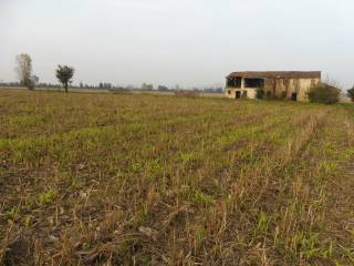 Terreno agricolo in vendita ad agugliaro via boghignolo, 10