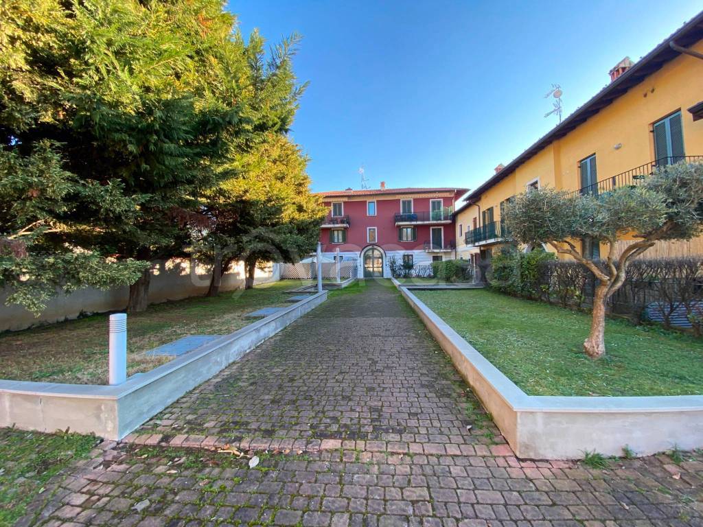 immagine annuncio 5 di 15