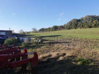 Terreno agricolo all'asta a circello contrada macchia