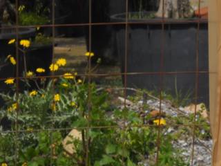 Terreno agricolo all'asta a gioiosa ionica via napoli