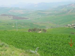 Terreno agricolo all'asta a prizzi strada provinciale del giardo