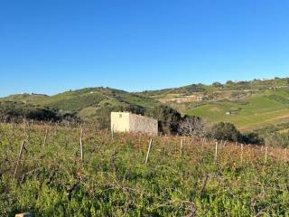 Terreno agricolo in vendita ad alcamo contrada virgini