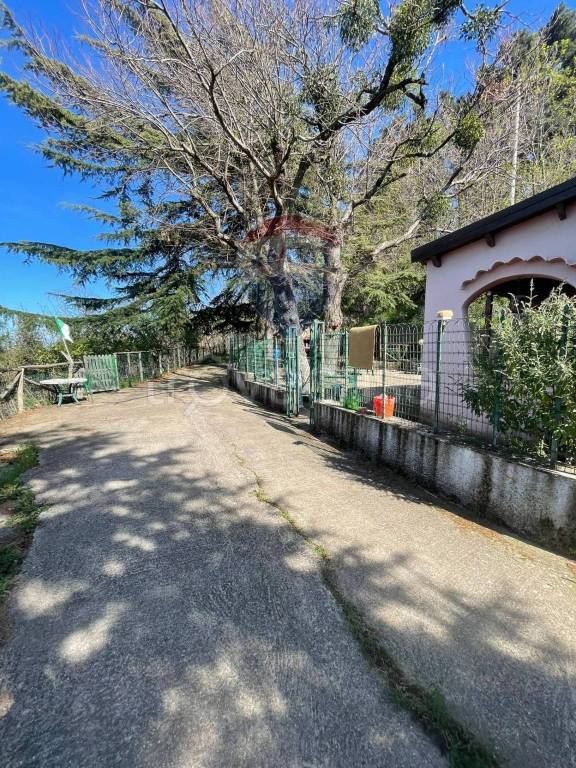 immagine annuncio 2 di 11