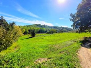 Terreno residenziale in vendita a san gimignano località ulignano