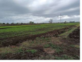 Terreno agricolo all'asta a sezze via murillo