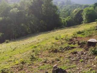 Terreno agricolo all'asta a corio regione colle vigna