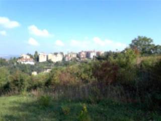 Terreno edificabile all'asta a macerata via nicolò piccinino