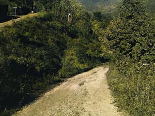 Terreno agricolo all'asta a platania località difesa zito