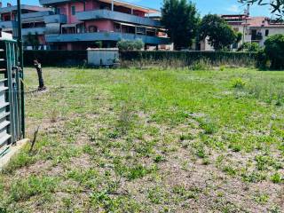 Terreno agricolo all'asta a grosseto strada di san luigi