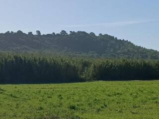 Terreno agricolo all'asta a vittoria contrada cappellaris