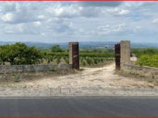 Terreno agricolo all'asta a carlentini sp32