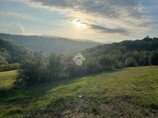 Terreno agricolo in vendita a pietrafitta contrada san mauro