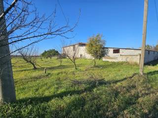 Casale in vendita a pignataro maggiore contrada arianova