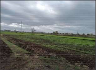 Terreno agricolo all'asta a sezze archi san lidano