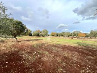 Terreno agricolo in vendita a ceglie messapica contrada amato