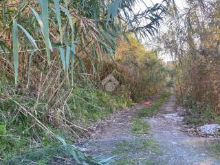 Terreno residenziale in vendita a diamante località piantine