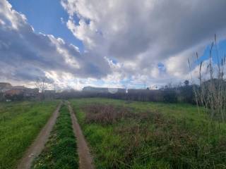 Terreno residenziale in vendita a grisolia via magarosa