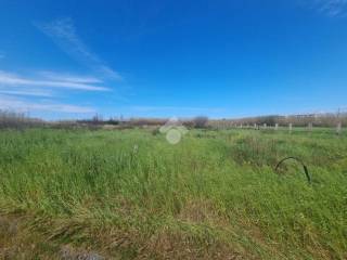 Terreno residenziale in vendita a grisolia via fiumicello