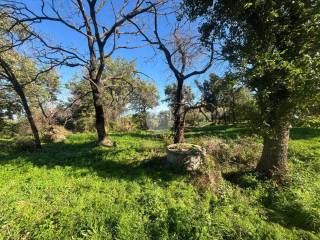 Terreno agricolo in vendita a monte porzio catone via 2 giugno, 1