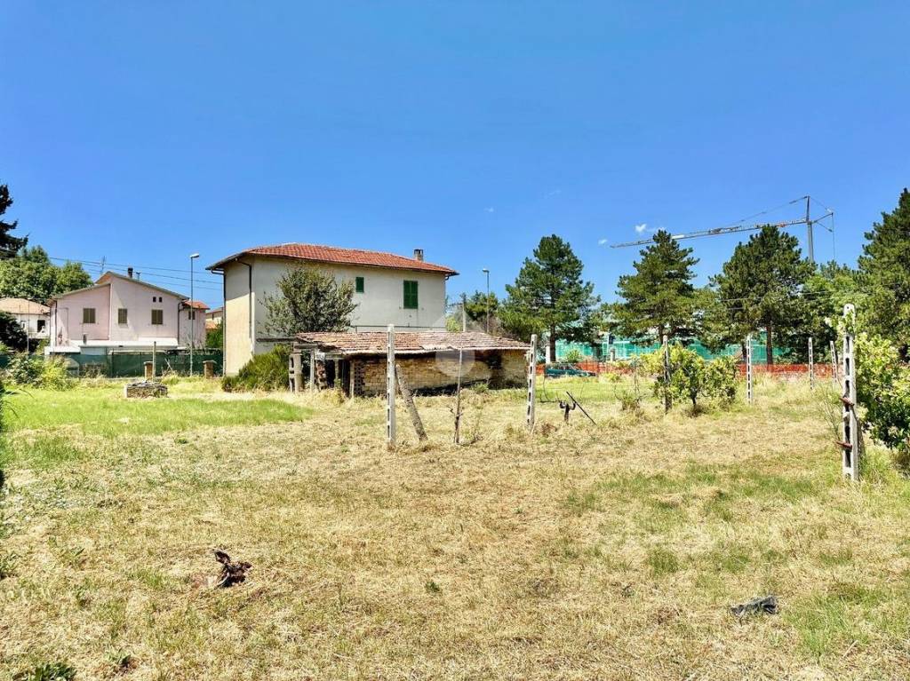 immagine annuncio 11 di 12