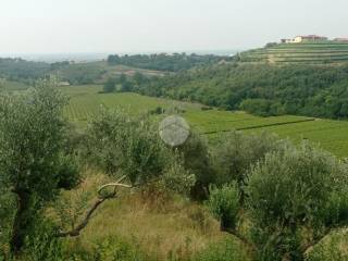 Terreno agricolo in vendita a verona via ca' nove ronchi, 11