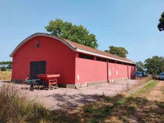 Azienda agricola all'asta a nettuno strada foglino