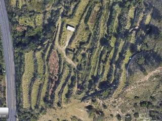 Terreno agricolo in vendita a reggio di calabria via sant'antonio abate, 1