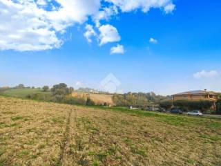 Terreno commerciale in vendita a rapagnano via boschetto