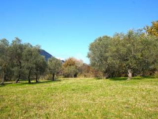 Terreno agricolo in vendita a montecorvino rovella contrada pezze