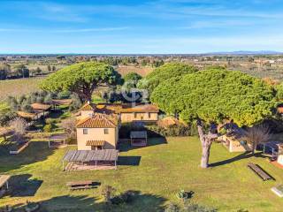 Azienda agricola in vendita a castagneto carducci via bolgherese, 300