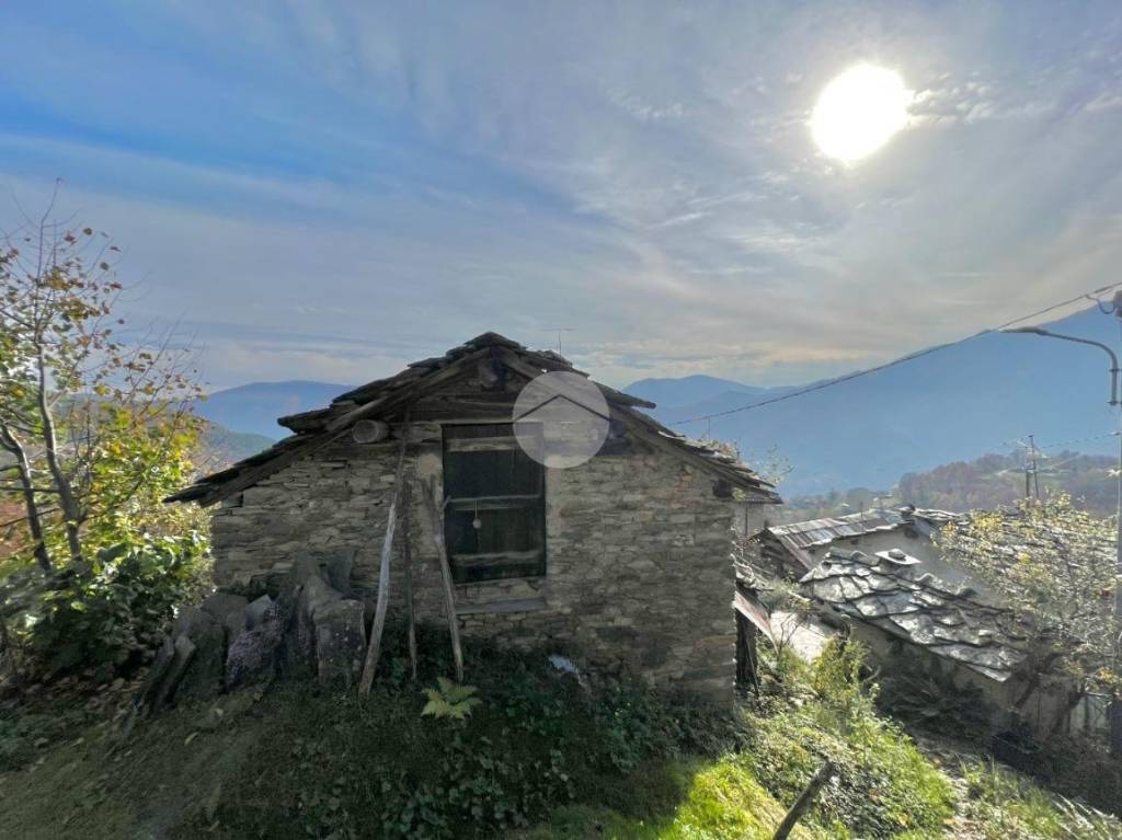 immagine annuncio 3 di 13