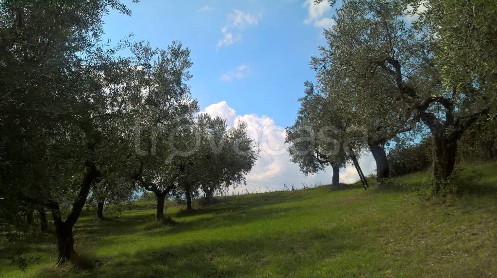 immagine annuncio 4 di 6