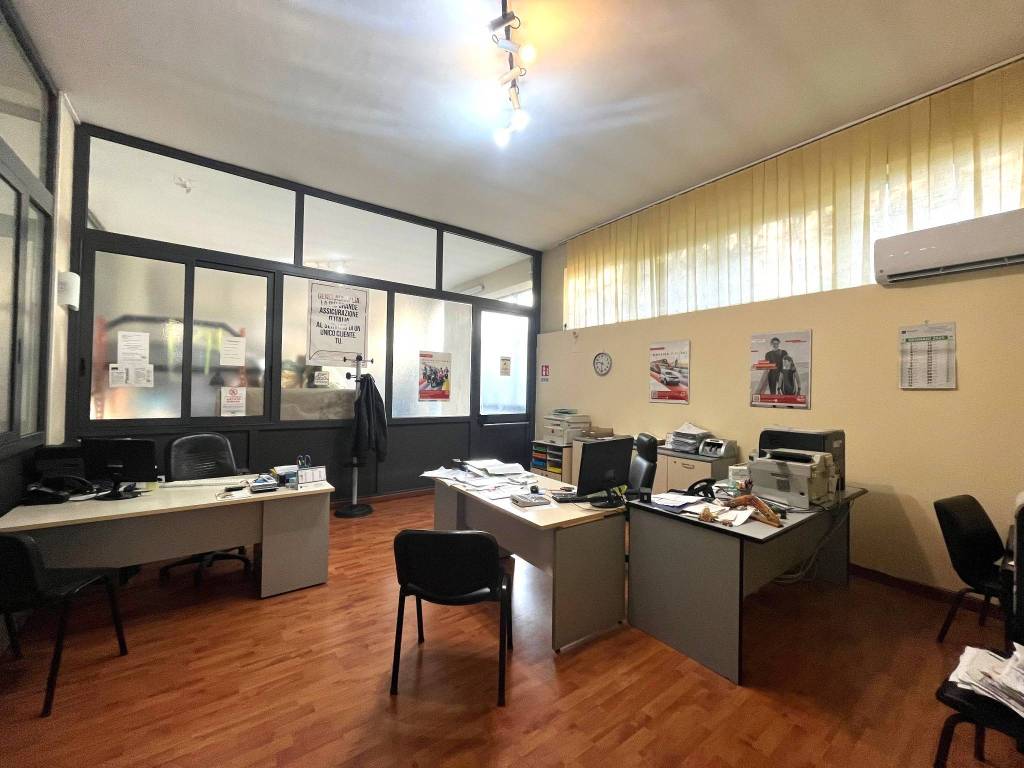 immagine annuncio 9 di 15